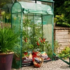 Grow It Premium Tomato Growhouse