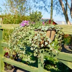 Garden Supply Store -Garden Supply Store 5001003600 blacksmith wall manger lifestyle 800x800 1