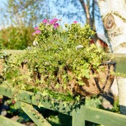 Blacksmith Premium Wall Trough -Garden Supply Store blacksmith wall trough lifestyle 800x800 1