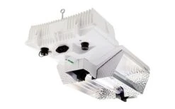 DLI Joule Series 1000w DE 120V-240V