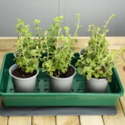 EarlyGrow Medium Electric Heated PVC Propagation Mat -Garden Supply Store earlygrow medium pvc heated mat 03 800x800