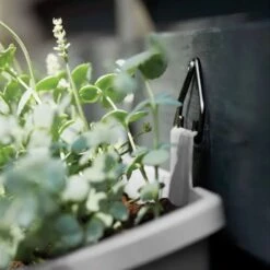 Elho Corsica Vertical Forest Large 51cm Set Of 2 Planter 26 Elho Corsica Vertical Forest Large 51cm Set Of 2 Planter -Garden Supply Store elho corsica vertical forest large 51cm set of 2 anthracite planter 03 800x800 2