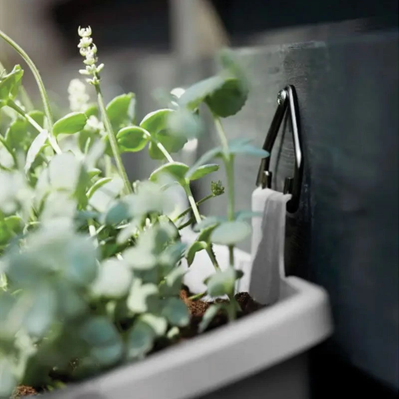 Elho Corsica Vertical Forest Large 51cm Set Of 2 Planter 12 Elho Corsica Vertical Forest Large 51cm Set Of 2 Planter - Image 10