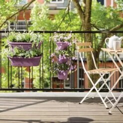 Elho Corsica Vertical Forest Small 24cm Set Of 3 Planter -Garden Supply Store elho corsica vertical forest small 24cm set of 3 vivid violet planter 03 800x800 1