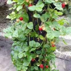 Floor Standing Flower Tower -Garden Supply Store flower tower 05 800x800