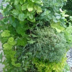 Floor Standing Flower Tower -Garden Supply Store flower tower 06 800x800