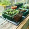 Gro-Sure Electric Heated Propagation Mat 1 Gro-Sure Electric Heated Propagation Mat -Garden Supply Store gro sure electric heated propagation mat 03