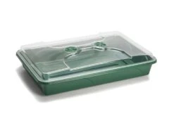 UpYouGrow Large Shallow Propagator