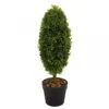 Smart Garden Artificial Uovo Topiary Tree 60cm 1 Smart Garden Artificial Uovo Topiary Tree 60cm -Garden Supply Store smart garden artificial uovo topiary tree 60cm 01 800x800